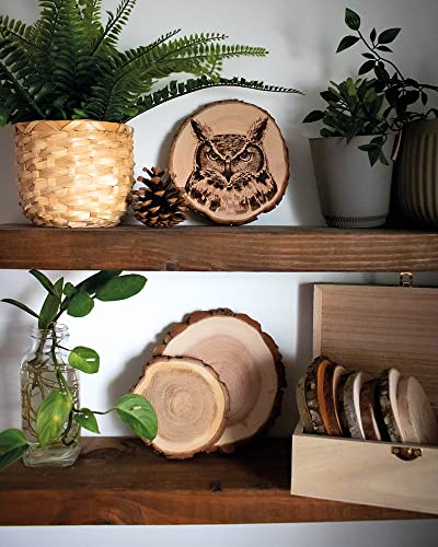 Woodburning Workshop: Essential Techniques & Creative Projects for Beginners - WoodArtSupply