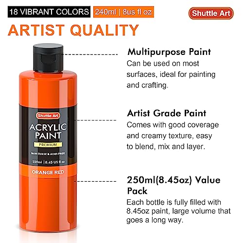 Shuttle Art 18 Colors Acrylic Paint Bottle Set (250ml/8.45oz), Rich Pigmented Bulk Painting Supplies for Artists, Beginners and Kids on Rocks Crafts Shuttle Art