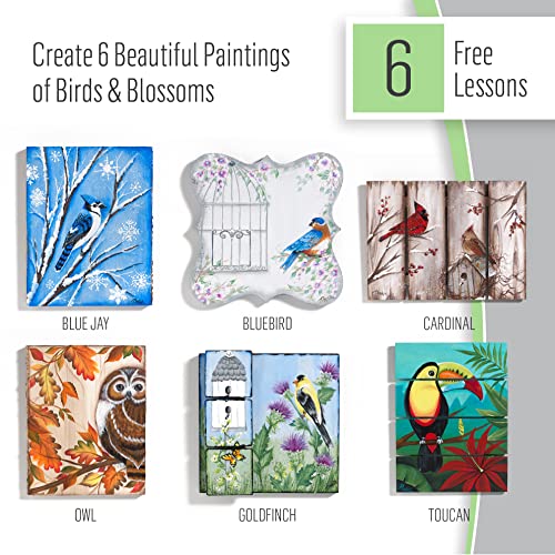FolkArt Birds & Blossoms 2 oz One Stroke Acrylic Kit, 32 Piece Set Including 12 Multi-Surface Paints, 10 Brushes, 6 Teaching Guides, 3 Pattern Sheets FolkArt