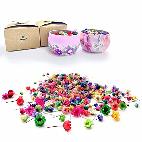CellLuck Small Dried Flowers for Resin, 600PCs Hand-Picked Brazilian Mini Daisy Dry Flowers, Mixed Real Natural Dried Flowers for Epoxy Resin, CellLuck