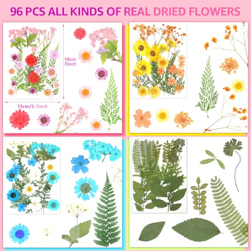 96Pcs Dried Flowers for Resin, Bulk Natural Dried Pressed Flowers,for Scrapbooking DIY Art Crafts Resin Accessories, Soap,Candle Making, Nails Decor, Kaddmedia
