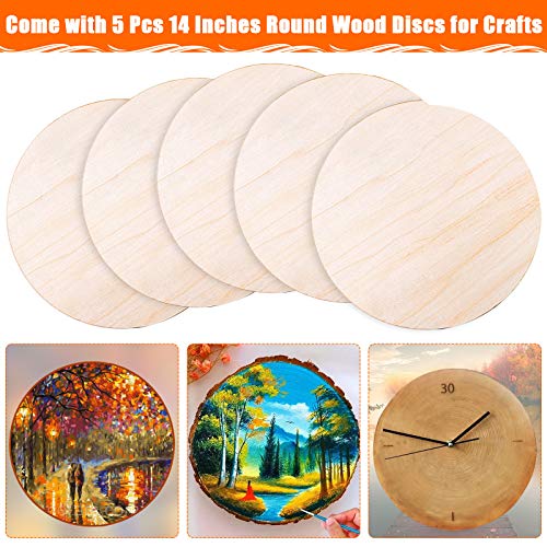 Round Wood Discs for Crafts, Audab 5 Pack 14 Inch Wood Circles Unfinished Wood Rounds Plaque for Door Hanger, Door Design, Wood Burning Audab