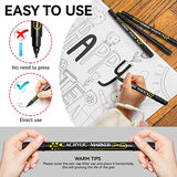 Tesquio Black Paint Marker, 8 Pack Dual Tip Acrylic Paint Pens, Ideal for Wood, Rock Painting, Canvas, Stone, Glass, Ceramic Tesquio