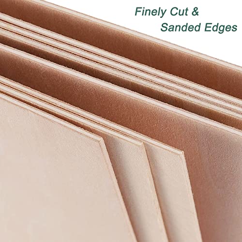 LINSHRY Basswood Sheets 1/16, 5 Pcs 12x8 Inch Thin Plywood Wood Sheets for Architecture Model, Engraving, Creative Painting or School DIY Projects - WoodArtSupply