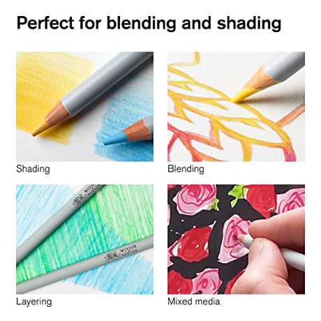 Winsor & Newton Studio Collection Artist Pencils, Color Pencils, Set of 24 Winsor & Newton