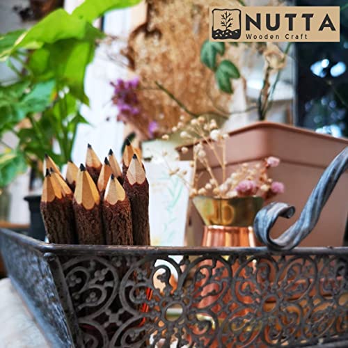 NUTTA - 12 Pencils Graphite Wooden Pencils Rustic Branch & Twig Wood Pencil Home Decoration or Gift Handmade Wooden Craft DIY Decorate Room Decor - WoodArtSupply