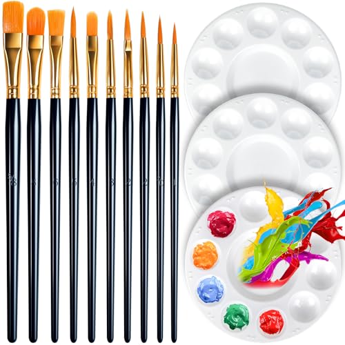 FANDAMEI Round Paint Tray Palettes and Paint Brushes Set, Paintbrushes, 3 PCS Plastic Paint Palettes Pallets, 10 PCS Acrylic Paint Brushes, Nylon Fandamei