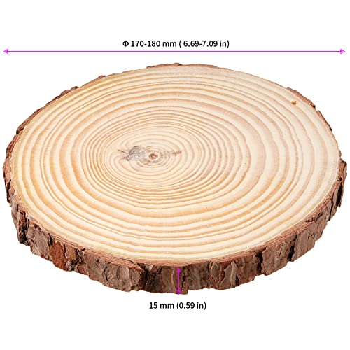 JEUIHAU 10 PCS 6.7-7 Inches Natural Wood Slices with Holes, Unfinished Predrilled Wooden Circles Tree Bark Slice, Blank Wooden Log Circles for DIY