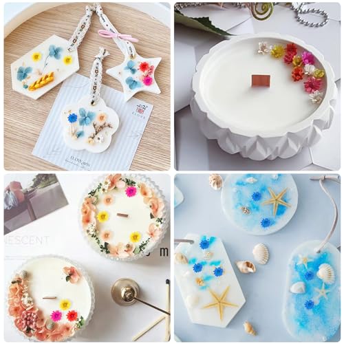 1700 PCS Bulk Tiny Dried Flowers for Resin - Small Dried Flowers for Crafts, Natural Real Mini Dried Pressed Flowers for Jewelry Earrings Epoxy LGFMGWH