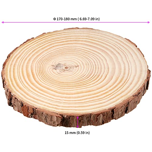 JEUIHAU 10 PCS 6.7-7 Inches Natural Unfinished Wood Slices, Round Wooden Tree Bark Discs, Wooden Circles for DIY Crafts, Christmas, Rustic Wedding - WoodArtSupply