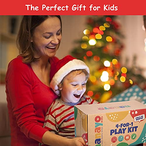 nanayo 4-for-1 Play Kit Includes Object Permanence Box, Montessori Coin Carrot Harvest Game, Matchstick Color Drop Game – Toys for Babies 6-12 nanayo