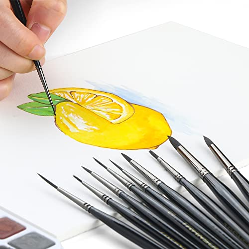 Transon 10pcs Small Detail Miniature Model Painting Brush Set for Acrylic Watercolor Gouache Ink Tempera and Body Painting TRANSON