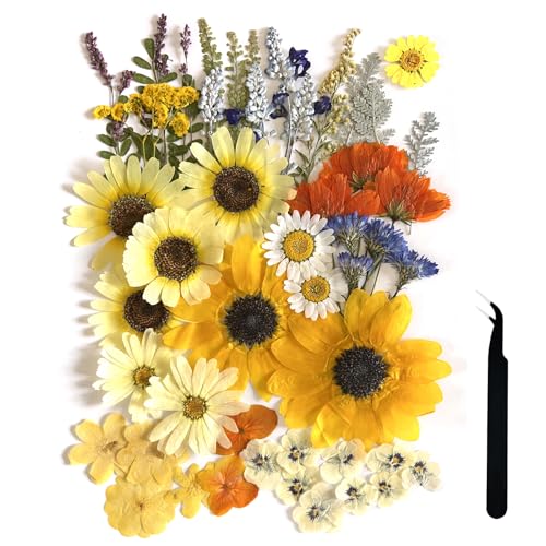 ZQmino A4 Large Dried Pressed Flowers for Resin Sunflower Pressed Flowers Real Dry Natural Flowers Leaves for Resin Mold Cake Candle Making Phone ZQmino