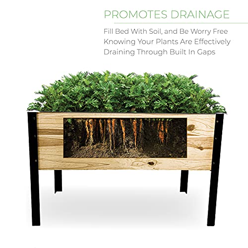 Backyard Expressions Raised Garden Bed, Elevated Wood Planter Box Stand - 35.5" W x 15.5" D x 22" H - WoodArtSupply