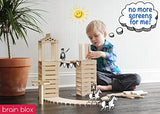 Brain Blox Natural Wooden Blocks for Kids Ages 4-8 - Montessori Blocks for Hands-on Learning - STEM and Architecture for Kids (300 Building Blocks) Brain Blox
