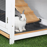 PawHut 2-Story Rabbit Hutch Wooden Bunny Hutch Cage Small Animal House with Ramp, No Leak Tray, Weatherproof Roof and Outdoor Run, Indoor/Outdoor, PawHut