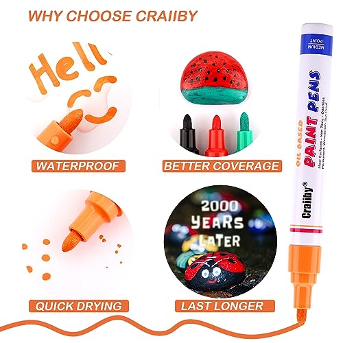 Permanent Paint Markers, Waterproof Oil Based Medium Tip, Quick Drying Pen for Metal Rock Painting Mugs Fabric Canvas Clothes Wood Plastic Marking Craiiby