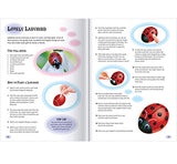 Hide and Seek Rock Painting Kit-This Complete Starter Kit includes all you need to create over 15 Quirky Rock-Art Creations Hinkler