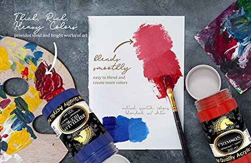 MyArtscape Acrylic Paint Set - 12 x 300ml Bottles - Lightfast - Heavy Body - Rich Pigments - Artist Quality Painting Supplies - Professional Grade MyArtscape