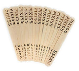 Amazing Clear Cast Epoxy Resin Kit Epoxy Resin 32 Ounce by Alumilite, 20x Disposable Plastic Resin Mixing Cups, Pixiss Mixing Sticks Bundle GrandProducts Art Bundles