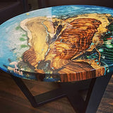 Quick Coat 1 Quart Epoxy Kit (Stone Coat Countertops) - Fast-Curing Epoxy Resin Kit for River Tables, Geodes, Wood Sealing, Tumblers, 3D Objects, and Stone Coat Countertops