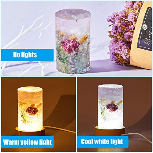Resin Cylinder Silicone Light Mold Set, Include Cylinder Light Mold and USB Powered Wooden Lighted Base Stand for Lamp DIY Desktop Ornaments Table Honoson
