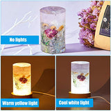 Resin Cylinder Silicone Light Mold Set, Include Cylinder Light Mold and USB Powered Wooden Lighted Base Stand for Lamp DIY Desktop Ornaments Table Honoson