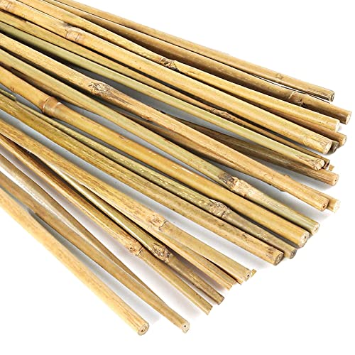 20 Pcs 18 Inch Natural Bamboo Plant Support Stakes for Indoor Plants, Bamboo Sticks Poles Garden Bamboo Stakes for Potted Plants, Tomato, Beans - WoodArtSupply