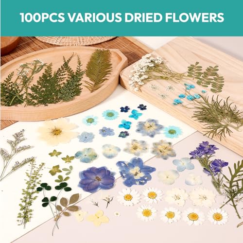 Resiners 100Pcs Dried Pressed Flowers for Resin Molds, Blue Real Natural Dried Flowers Dry Leaves kit for Scrapbook Supplies Card Making Resin Resiners