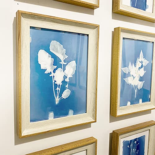 30 Pcs Cyanotype Paper Sun Print Paper Kit High Sensitivity Nature Drawing Printing Sunprint Sun/Solar Activated A5 Paper for Flower Press DIY Arts mwellewm