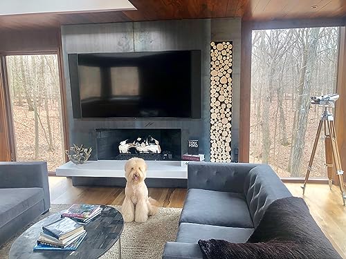 Wilson 8"-9" Decorative White Birch Fill-A-Space Logs, Natural Home Décor - 1.5"-4" Dia. (1 Sq. Ft) Wilson