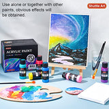 Shuttle Art Color Change Acrylic Paint, 20 Chameleon Colors Acrylic Paint, 60ml/2oz Bottles, Iridescent Paint for Artists, Beginners, Kids Painting & Shuttle Art