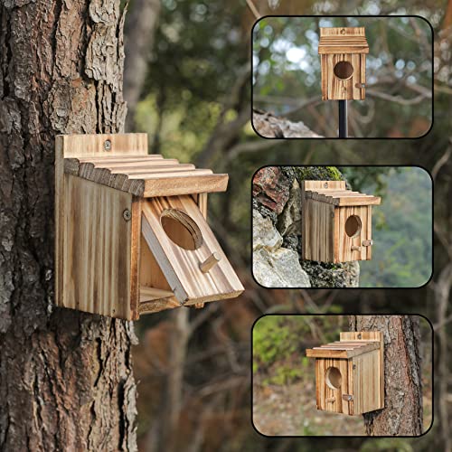 Humming Bird Houses for Outdoor Hanging Small Bird Nesting Box - Wood Nest for Robin, Hummingbird, Parakeet, Bluebird - Perch House for Outdoors NATUREYLWL