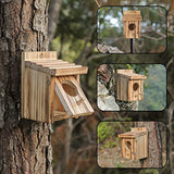 Humming Bird Houses for Outdoor Hanging Small Bird Nesting Box - Wood Nest for Robin, Hummingbird, Parakeet, Bluebird - Perch House for Outdoors NATUREYLWL