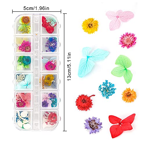 4 Boxes Dried Flowers for Resin, Gartful 48 Styles Natural 3D Applique Flowers DIY Craft Supplies, Resin Epoxy Casting Fillers for Silicone Molds, Gartful