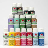 Apple Barrel Multi-Surface Paint Set (2-Ounce), Colors, 32 Fl Oz, 16 Piece Apple Barrel