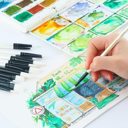 Transon 14pcs Art Painting Brush Set for Acrylic, Watercolor, Gouache, Oil and Hobby Painting White Color TRANSON