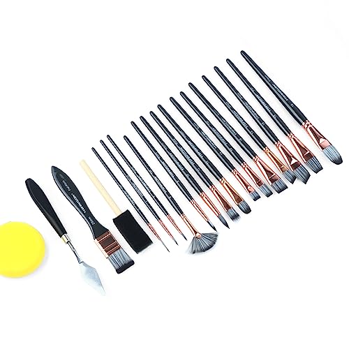 Transon Art Paint Brush Kit 16 Paint Brushes with Foam Brush Sponge Spatula and Brush Case for Oil, Acrylic, Watercolor, Gouache, Painting Black TRANSON