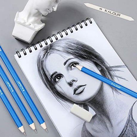 KALOUR 33 Pieces Pro Drawing Kit Sketching Pencils Set,Portable Zippered Travel Case-Charcoal Pencils, Sketch Pencils, Charcoal KALOUR