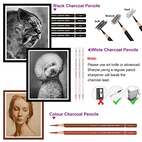 HIFORNY 10 Pieces Colored Charcoal Pencils for drawing- Black White Charcoal Pencils for Sketching,Shading,Blending,Portrait - Ideal for Beginners & HIFORNY