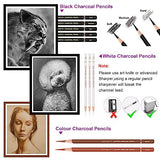 HIFORNY 10 Pieces Colored Charcoal Pencils for drawing- Black White Charcoal Pencils for Sketching,Shading,Blending,Portrait - Ideal for Beginners & HIFORNY