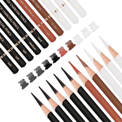 HIFORNY 10 Pieces Colored Charcoal Pencils for drawing- Black White Charcoal Pencils for Sketching,Shading,Blending,Portrait - Ideal for Beginners & HIFORNY
