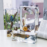 LET'S RESIN Rectangle Silicone Resin Molds, 3pcs Large Resin Molds w/Wooden Support, Deep Epoxy Resin Molds for Flowers Preservation, Insect LET'S RESIN