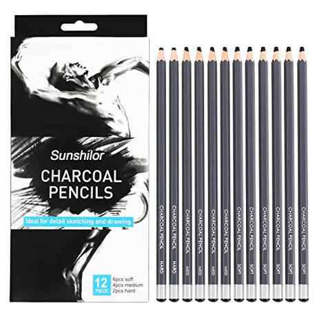 Sunshilor Professional Charcoal Pencils Drawing Set - 12 Pieces Soft Medium and Hard Charcoal Pencils for Drawing, Sketching, Shading, Artist Pencils Sunshilor