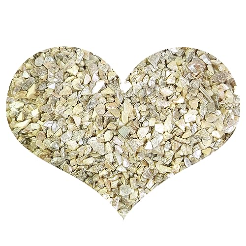 HappyFiller 1.4 Pound Broken Pieces Crushed Shells Chips Vase Filler Resin Arts,Succulents,Plants Top Dressing Soil Cover,Hotricultural Pebbles Grow - WoodArtSupply