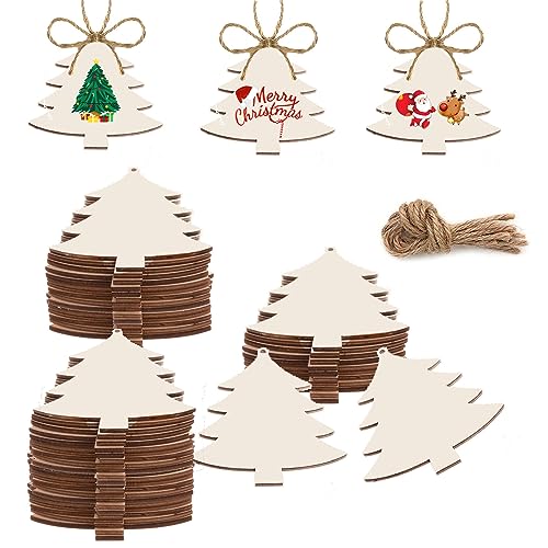 50PCS Unfinished Wood kit with Holes, Wood Slice for DIY Crafts, Blank Tree Wood Cutouts Wooden Tags Ornaments for Sign Gift Tags, Christmas - WoodArtSupply