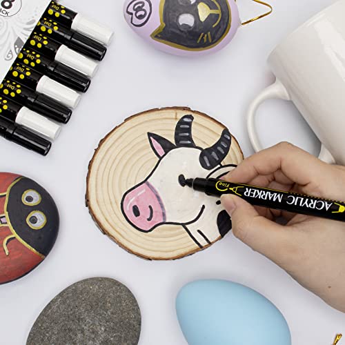 Tesquio Paint Marker, Dual Tip Acrylic Paint Pens, 8 Pack Black & White Paint Pens Ideal for Wood, Rock Painting, Canvas, Stone, Glass, Ceramic Tesquio