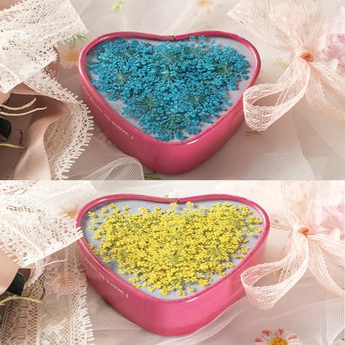 60 Pcs Dried Pressed Flowers for Resin DIY Art Crafts Natural Dry Floral Epoxy Jewelry Real Lace Flower Decor Cakes Phone Cases Candles Handmade Soap TopFunny