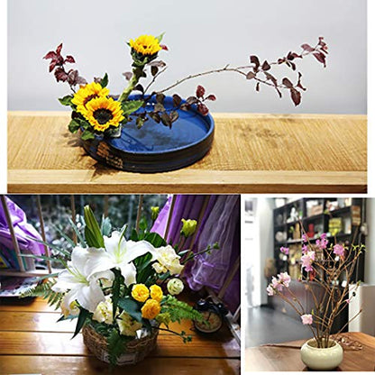 JUSTDOLIFE Flower Frogs Stainless Floral Frogs Kenzan Flower Vase Round Metal Flower Arranger Tool Pin Holder Ikebana Flower Pin Frogs for Vase - WoodArtSupply