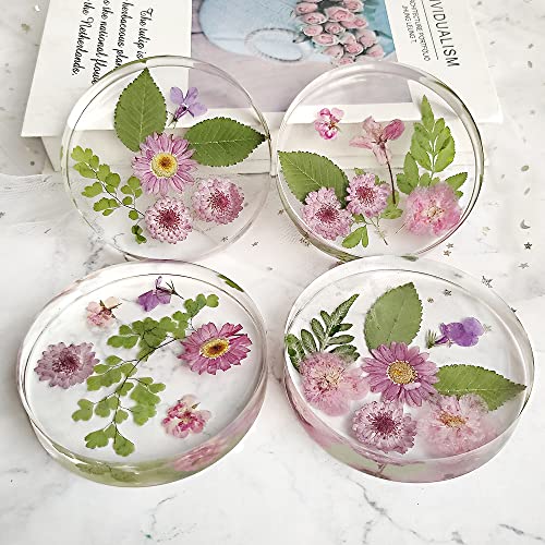 RESINWORLD 6-Cavity Deep Round Coaster Molds, 4 Inches Coaster Silicone Molds for Epoxy Resin, Coaster Resin Molds for Flower Bouquet Preservation ResinWorld